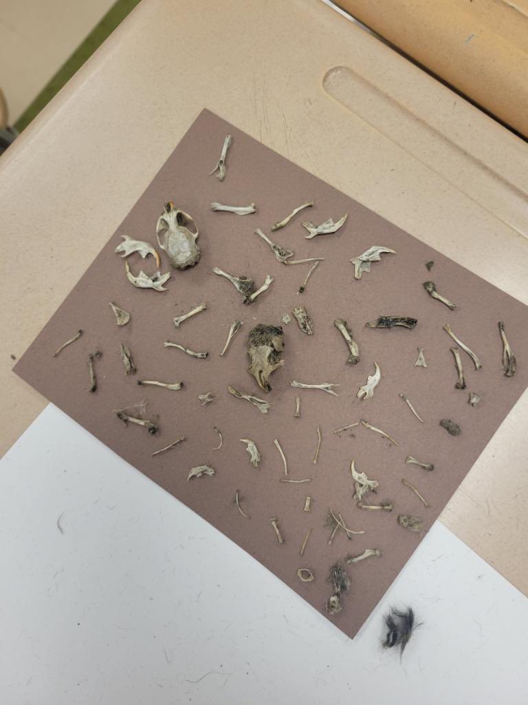 Dr. Leland Wagner tweet media