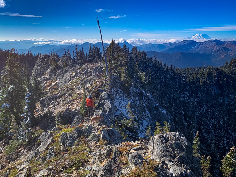 moosefish's tweet photo. @DeuterUSA @WTA_hikers @AdvScientists @MountRainierNPS @visitmtrainier @TravelTacoma @MountRainierWA @mtrainier @MtRainierWatch @WANatlParkFund So we failed to connect with last weekend's route. That's a bummer. The trail up from the south is much more enjoyable, but the summits accessible from the bootpath from the north are better destinations.
#WhyCantWeHaveItBothWays #BecauseLife
16/end https://t.co/doaLNDtIAq