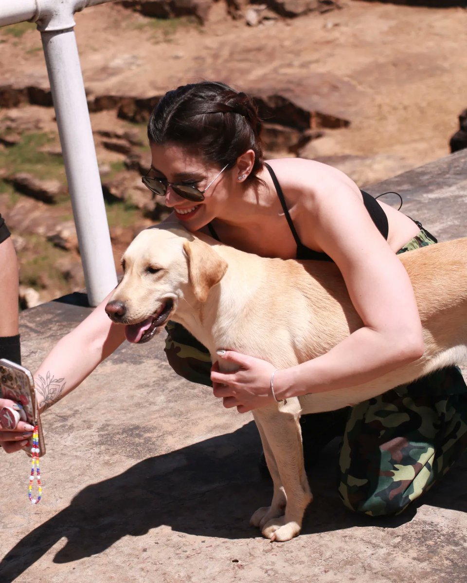Calle_7PY's tweet photo. Todos somos Kass cuando vemos un perrito 🐶🥰
No te olvides que podes revivir el #Reality7 en nuestro canal de YouTube: Calle7 Paraguay ▶️ https://t.co/UPtb7BAMBV