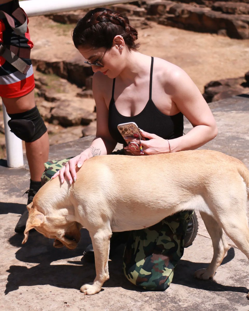Calle_7PY's tweet photo. Todos somos Kass cuando vemos un perrito 🐶🥰
No te olvides que podes revivir el #Reality7 en nuestro canal de YouTube: Calle7 Paraguay ▶️ https://t.co/UPtb7BAMBV