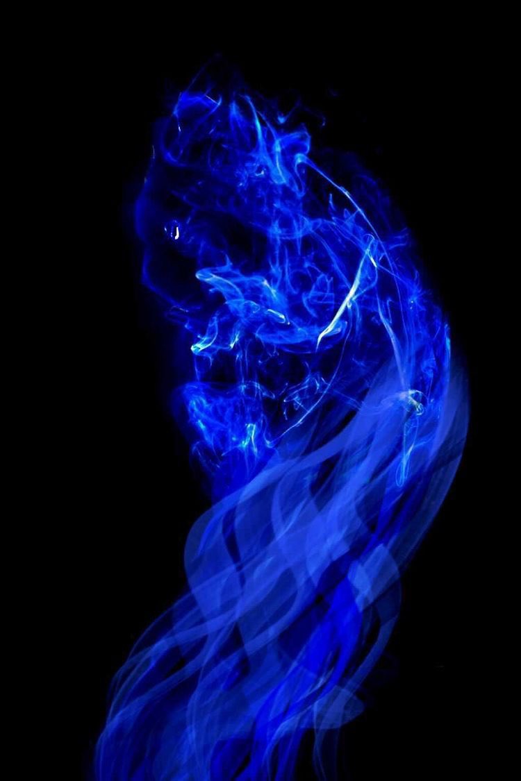 My_unique_petz's tweet photo. You know what I might do for a Halloween stream this week:
Making animal ghosts like below:(all edits belong to me just tagging the person who owned the cat from the 3th photo) https://t.co/JKLpNASJbg