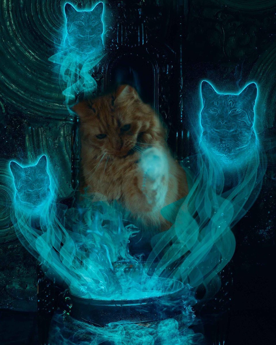 My_unique_petz's tweet photo. You know what I might do for a Halloween stream this week:
Making animal ghosts like below:(all edits belong to me just tagging the person who owned the cat from the 3th photo) https://t.co/JKLpNASJbg