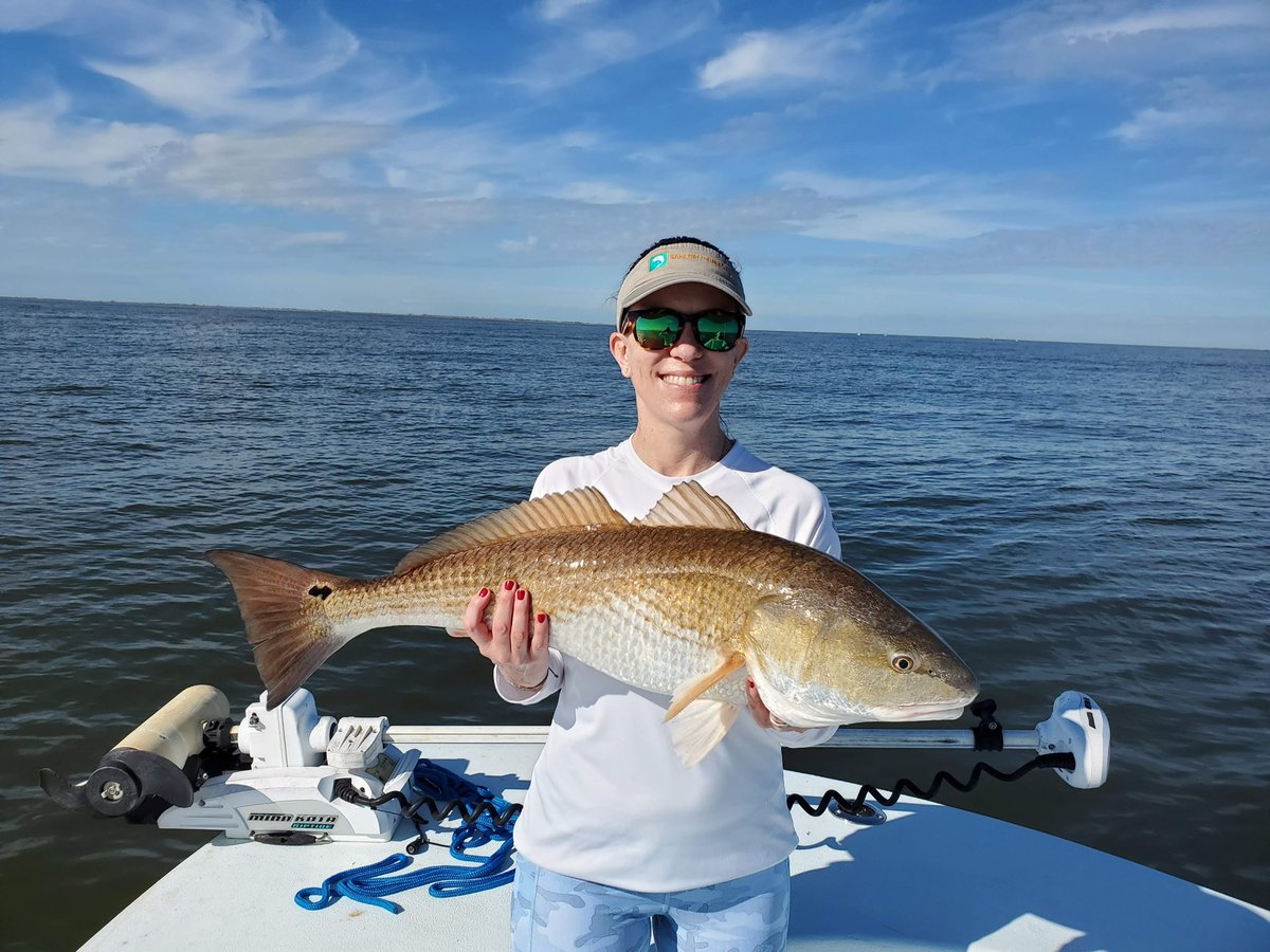 SWVatalaro's tweet photo. Another incredible day on the water in Venice, Louisiana! Great catches, beautiful wildlife &amp; gorgeous skies.         🐟🐊🌅 @Boat_writer @LDWF https://t.co/uEMXDdoz68