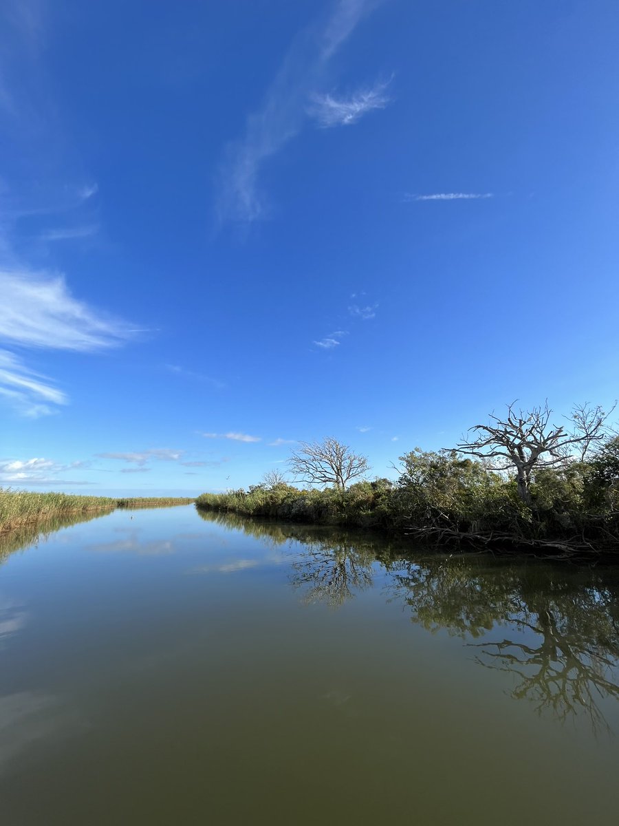 SWVatalaro's tweet photo. Another incredible day on the water in Venice, Louisiana! Great catches, beautiful wildlife &amp; gorgeous skies.         🐟🐊🌅 @Boat_writer @LDWF https://t.co/uEMXDdoz68