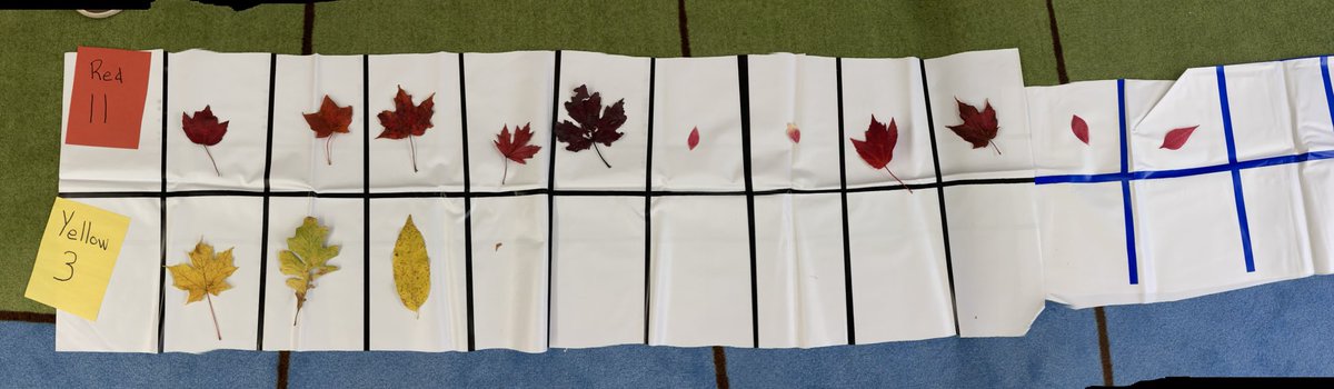 LBPreK tweet picture