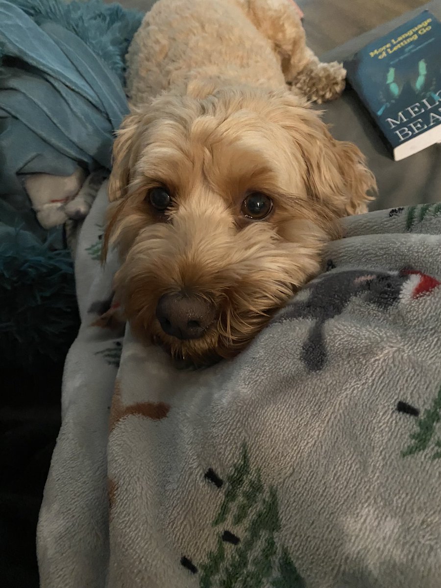 He wants some of my food😤
