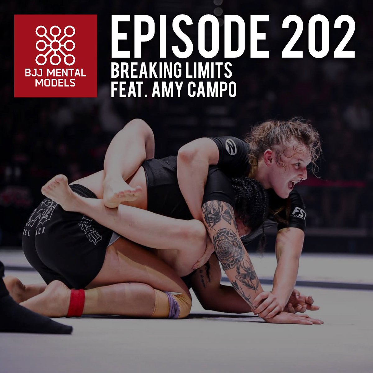 BJJ Mental Models tweet media