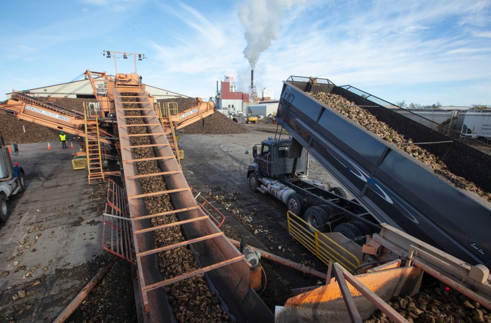 That's a wrap! Stockpile harvest is officially done for the season. Thank you to all of our growers and harvest crews for their hard work. Factories, you got next!