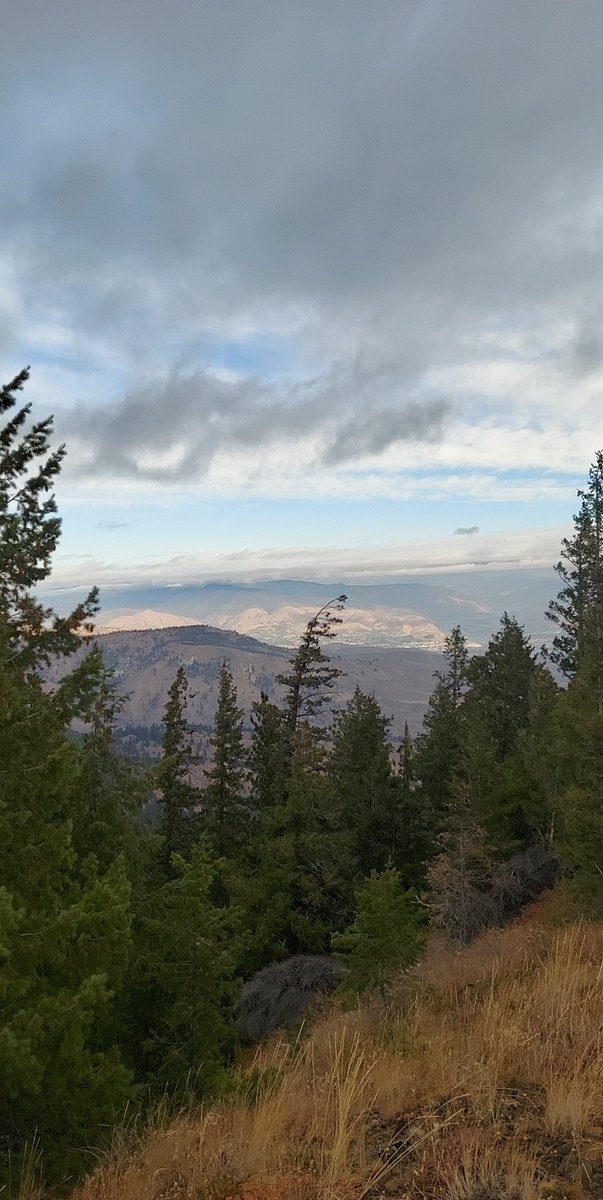 ciminorules's tweet photo. Good morning wenatchee! https://t.co/cvjTyZd25B