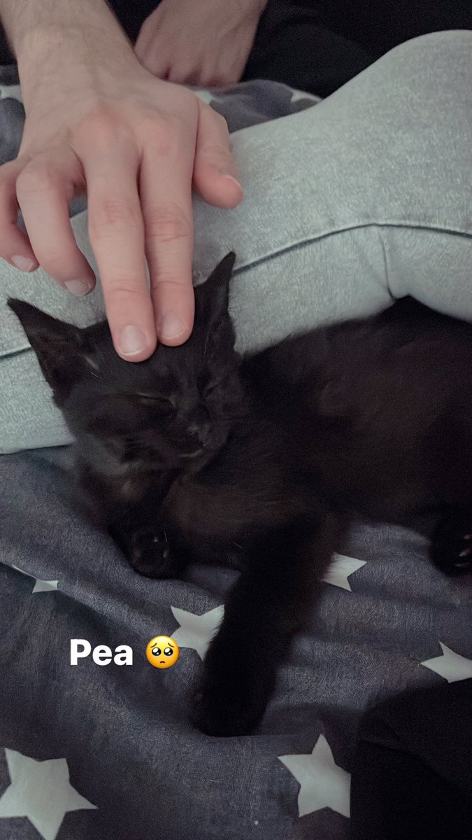 mimi ✨ tweet media