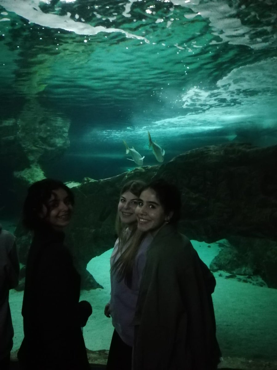 calasnatividad's tweet photo. El día 20 octubre los cursos de bachillerato que hacen biología fuimos al zoo. Allí aprendimos datos curiosos de algunos animales y también hicimos un taller sobre lis mares y océanos. Nos llovió un poco pero nos mereció la pena porque lo pasamos genial. https://t.co/6smCmM9X2z