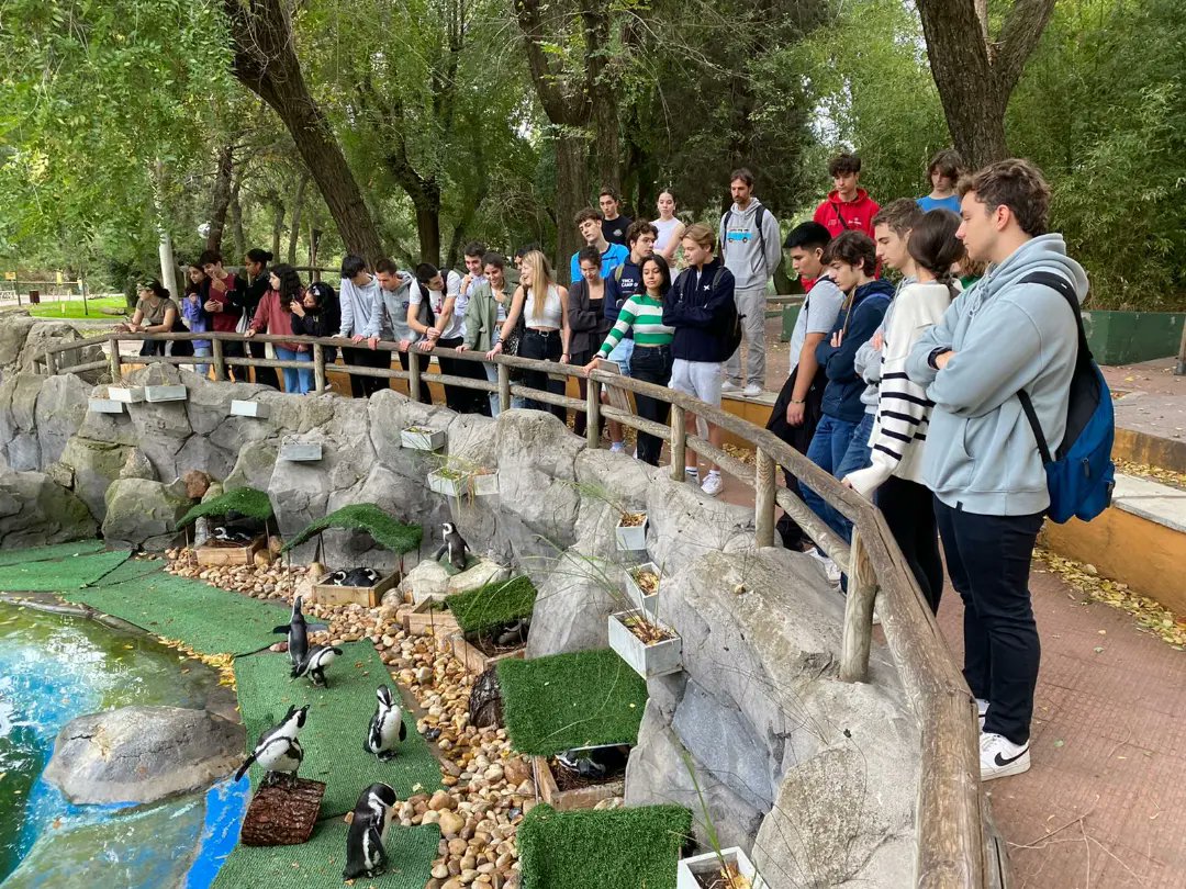 calasnatividad's tweet photo. El día 20 octubre los cursos de bachillerato que hacen biología fuimos al zoo. Allí aprendimos datos curiosos de algunos animales y también hicimos un taller sobre lis mares y océanos. Nos llovió un poco pero nos mereció la pena porque lo pasamos genial. https://t.co/6smCmM9X2z