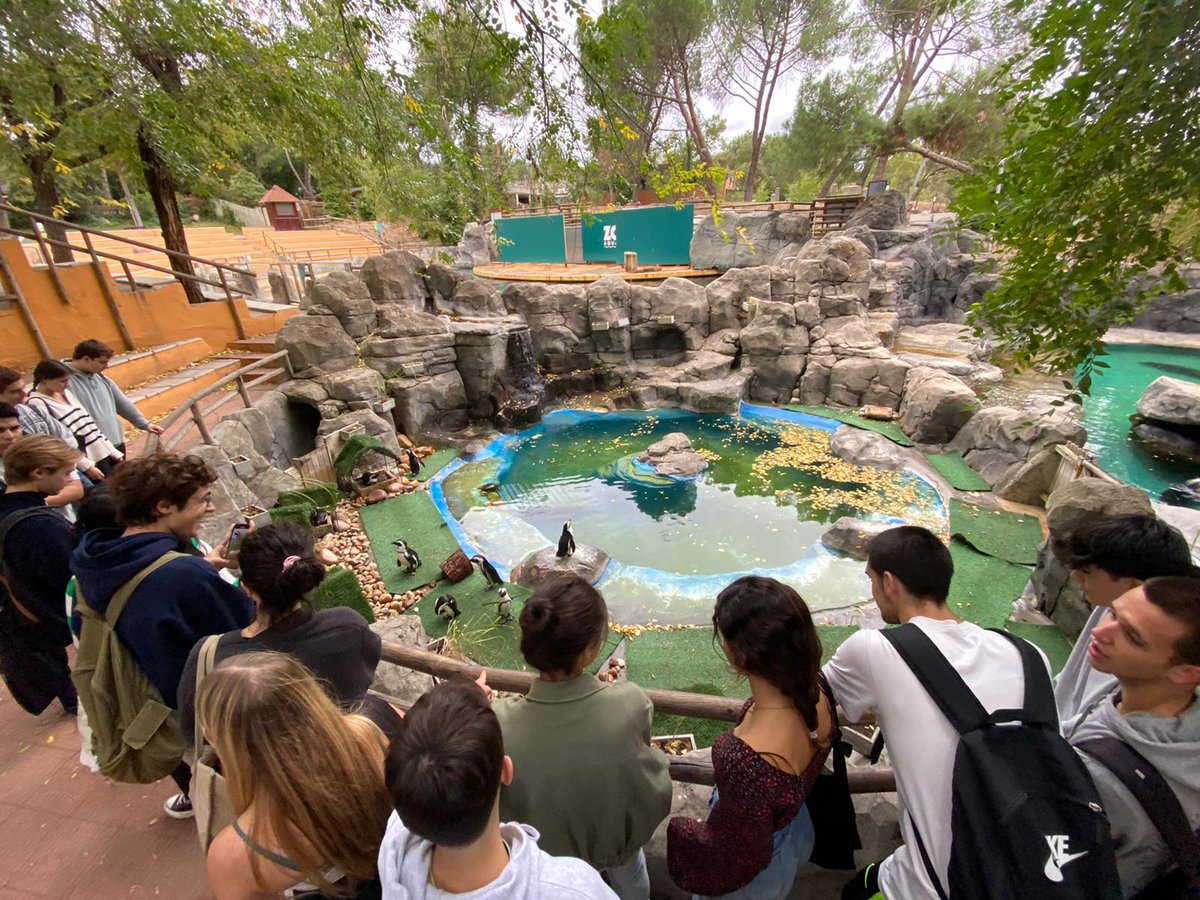 calasnatividad's tweet photo. El día 20 octubre los cursos de bachillerato que hacen biología fuimos al zoo. Allí aprendimos datos curiosos de algunos animales y también hicimos un taller sobre lis mares y océanos. Nos llovió un poco pero nos mereció la pena porque lo pasamos genial. https://t.co/6smCmM9X2z