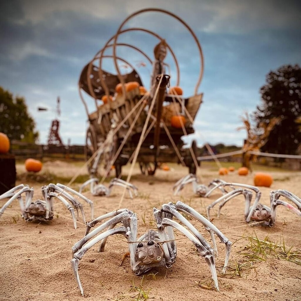 LoopnFR's tweet photo. [Reportage]
Un parc français plein de sable ?
C'est à la Mer de Sable que vous pourrez également célébrer Halloween entre petits et grands.
📸 : @lamerdesable 

#merdesable #halloween #coasteraddict #app #rollercoasterthemepark #parcattraction #loopn … https://t.co/6jv9q32vrS https://t.co/L8ivfC1L94