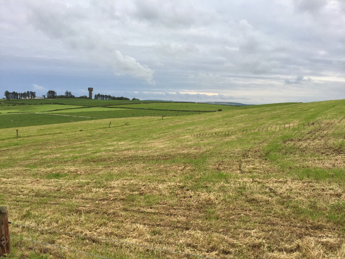 miestfy's tweet photo. @KarinaEcology @SeanHort1 Little mentioned but ever expanding intensive grass for beef & diary has real consequences - multiple silage mowing suddenly leaving fields bare & eco content wrapped in plastic results in #insectageddon @LiamLy https://t.co/r7tylnDzIU