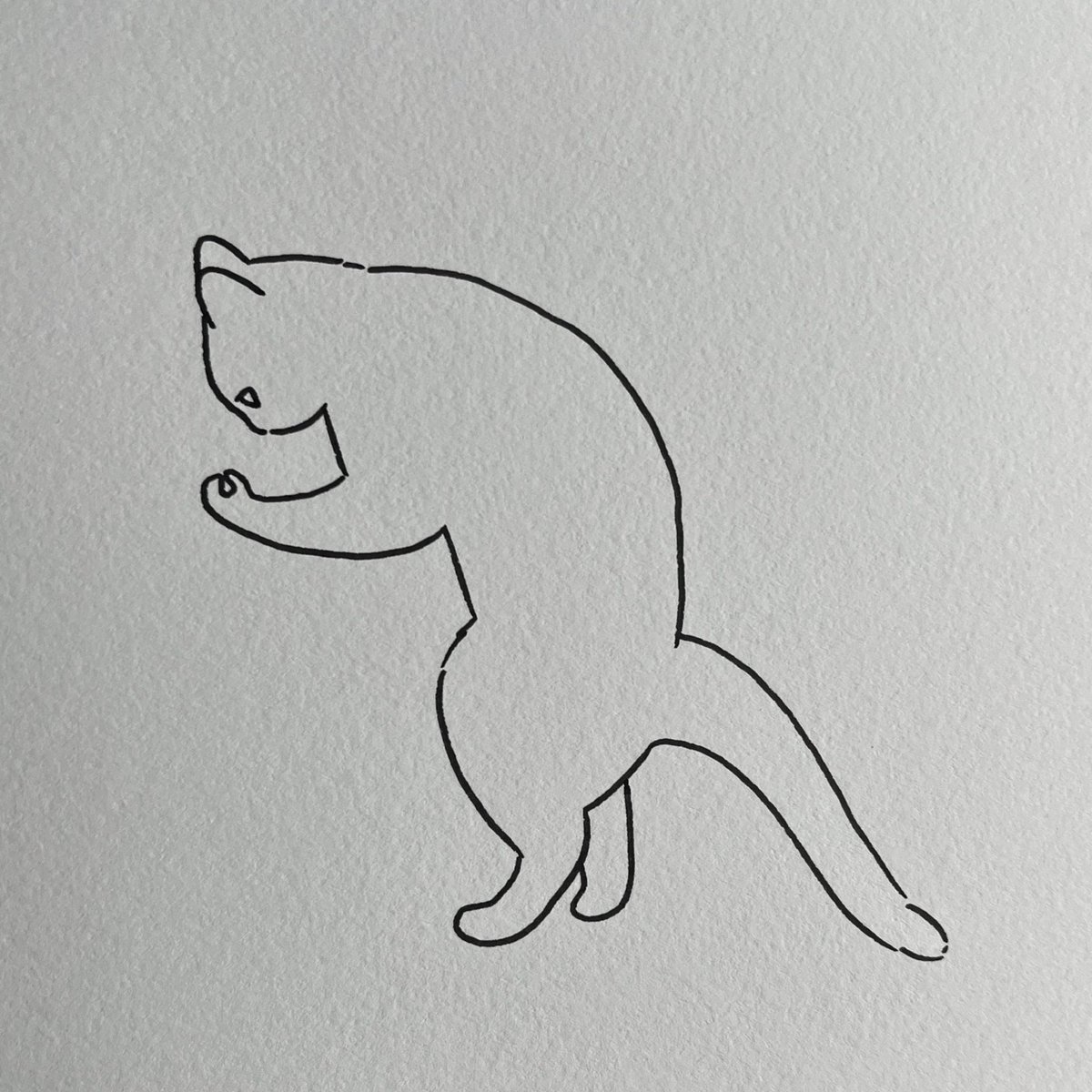 what’s he plotting