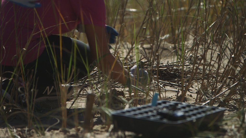 TONIGHT:

<a href="/13NewsNow/">13News Now</a> explores the efforts to stabilize a military beachfront in Virginia Beach. 

Why military leaders say the preservation of this shoreline -- just south of Croatan Beach-- is so critical.