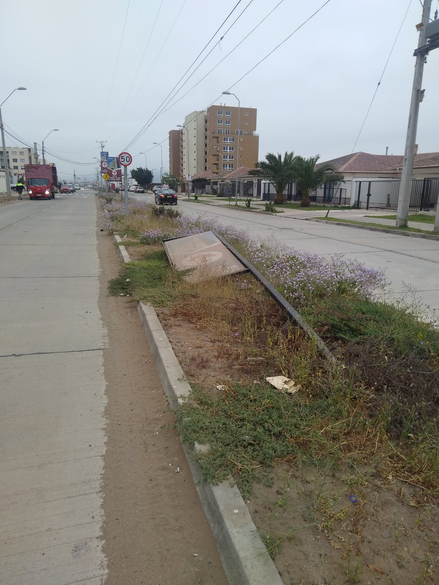 Jaime7215's tweet photo. @munilaserena hola llevo en el sector viviendo casi 3 años pagando contribuciones y en todo este tiempo nunca han sido capaz de limpiar el sector todo el bandejon central lleno de basura maleza escombros la avenida lo mismo calle Alberto arenas es una vergüenza https://t.co/aainqb30aS