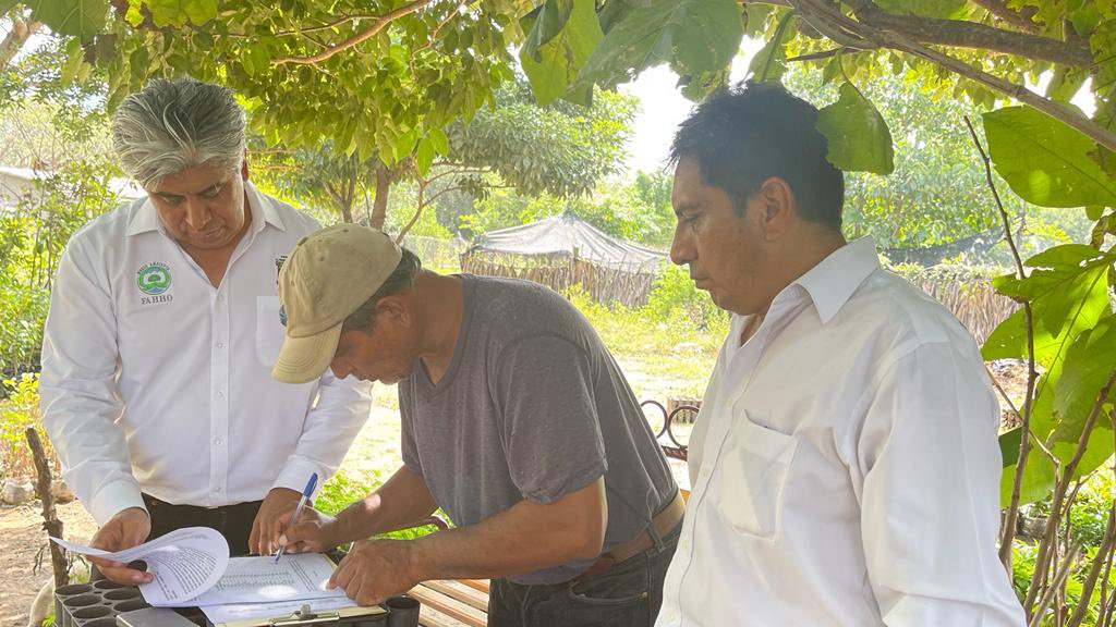 MAmbienteFAHHO's tweet photo. En la región del Istmo verificamos, en los viveros de Espinal y Porvenir Chimalapas, la donación de 1 millón de árboles que apoyaron la #reforestación social, beneficiando a 131 localidades y 64 municipios de la región del Istmo, Cuenca, Costa y Bajo Mixe https://t.co/1l2gmlxRvt