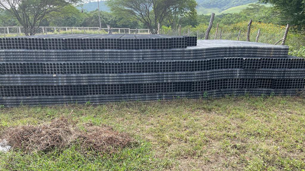 MAmbienteFAHHO's tweet photo. En la región del Istmo verificamos, en los viveros de Espinal y Porvenir Chimalapas, la donación de 1 millón de árboles que apoyaron la #reforestación social, beneficiando a 131 localidades y 64 municipios de la región del Istmo, Cuenca, Costa y Bajo Mixe https://t.co/1l2gmlxRvt
