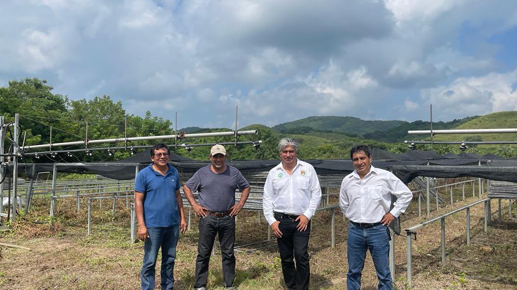 MAmbienteFAHHO's tweet photo. En la región del Istmo verificamos, en los viveros de Espinal y Porvenir Chimalapas, la donación de 1 millón de árboles que apoyaron la #reforestación social, beneficiando a 131 localidades y 64 municipios de la región del Istmo, Cuenca, Costa y Bajo Mixe https://t.co/1l2gmlxRvt