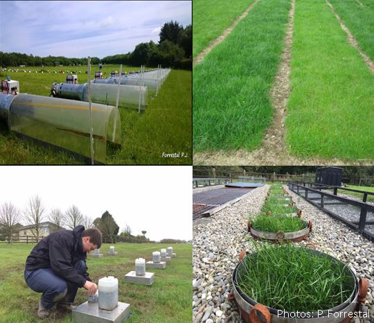 Dr. Patrick Forrestal (@forrestalpj) on Twitter photo Want to improve the performance of fertiliser #Nitrogen?
Post Doctoral Fellow new <a href="/agriculture_ie/">Dept of Agriculture, Food and the Marine</a> project with a great team of colleagues <a href="/Teagasc/">Teagasc</a> <a href="/UCDBioFoodEng/">UCDBiosysFoodEng</a> <a href="/DominikaJKrol/">Dominika Krol</a> closing soon! Apply by noon (#Irish time) Tues 1st of Nov topjobs-teagasc.thehirelab.com/LiveJobs/JobAp…
Retweets appreciated Want to improve the performance of fertiliser #Nitrogen?
Post Doctoral Fellow new <a href="/agriculture_ie/">Dept of Agriculture, Food and the Marine</a> project with a great team of colleagues <a href="/Teagasc/">Teagasc</a> <a href="/UCDBioFoodEng/">UCDBiosysFoodEng</a> <a href="/DominikaJKrol/">Dominika Krol</a> closing soon! Apply by noon (#Irish time) Tues 1st of Nov topjobs-teagasc.thehirelab.com/LiveJobs/JobAp…
Retweets appreciated