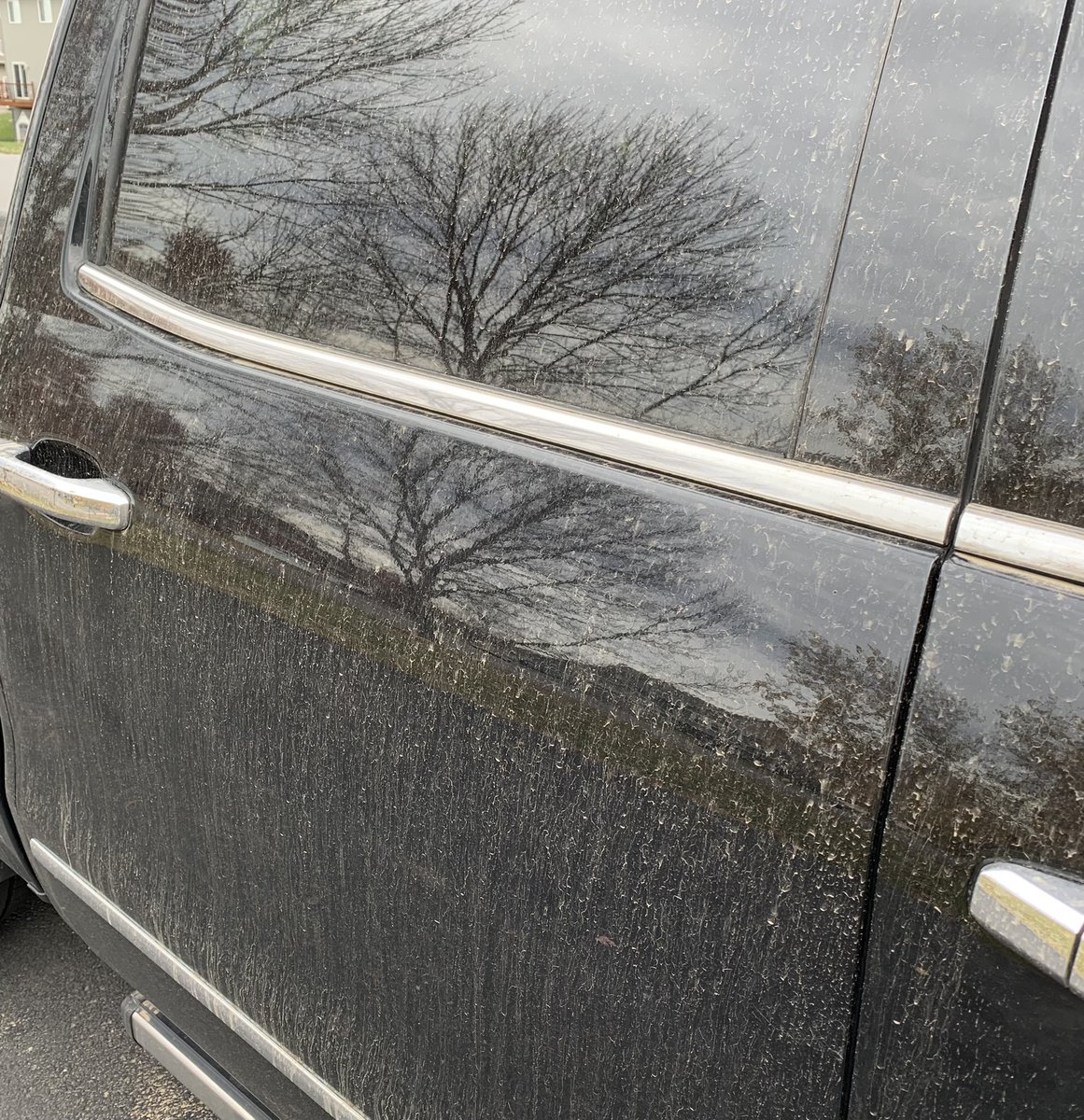 sumnerjw's tweet photo. @NovakWeather Was there some type of weather phenomenon that coated everything with a layer of dirt last night? https://t.co/Y54WbdhQgZ
