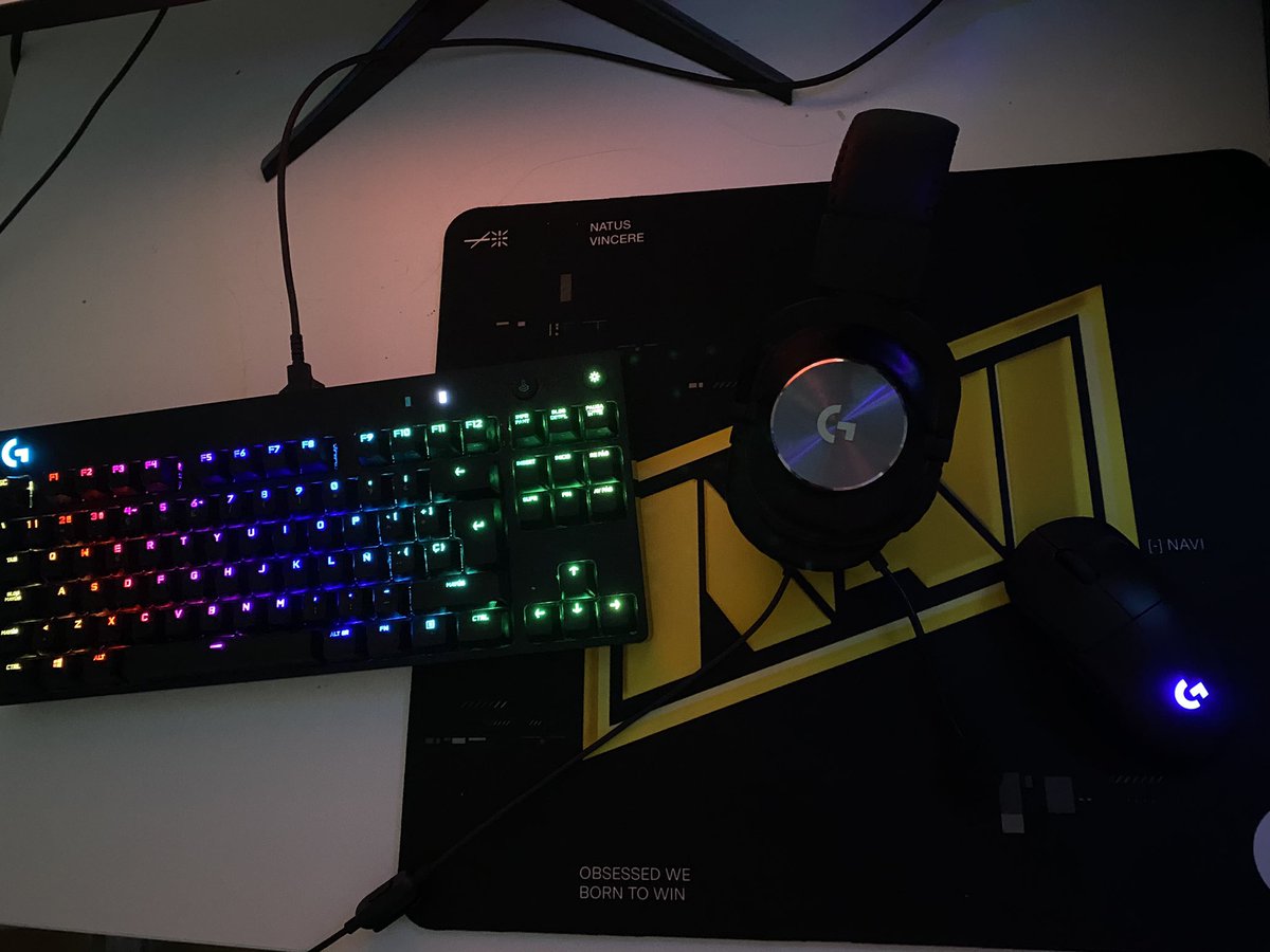 Riddys2's tweet photo. Finally devices arrived.Big thanks to @LogitechGesport and @natusvincere ^^ https://t.co/RXXaTrqTl0