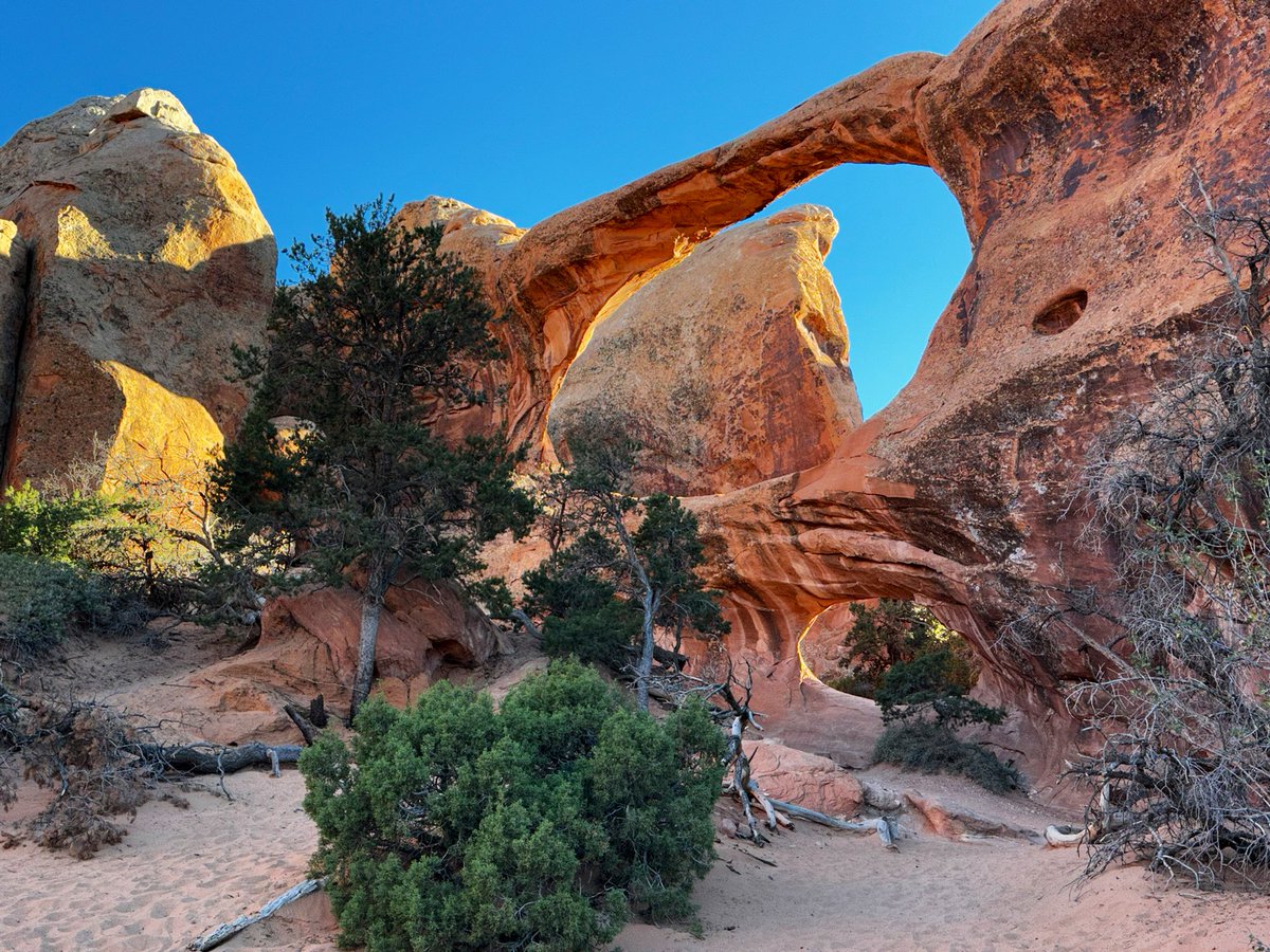 meaghanbrophy tweet media