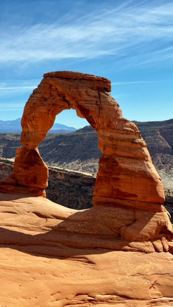 meaghanbrophy tweet media