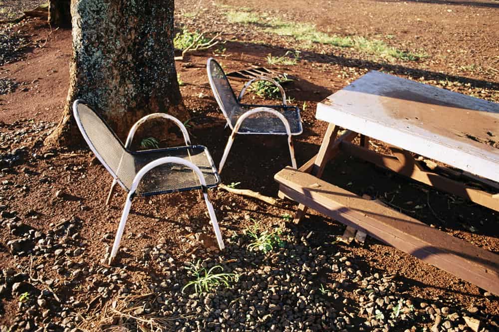 BackyardBella's tweet image. How To Dispose Of Old Patio Furniture
#patio #patiofurniture #recycle #outdoorliving #backyarddesign #backyard #landscapedesign #outdoordesign #outdoor #landscape #garden #gardendesign
Read the full article
👇👇👇👇👇👇👇👇

backyardbella.com/furniture/how-…
