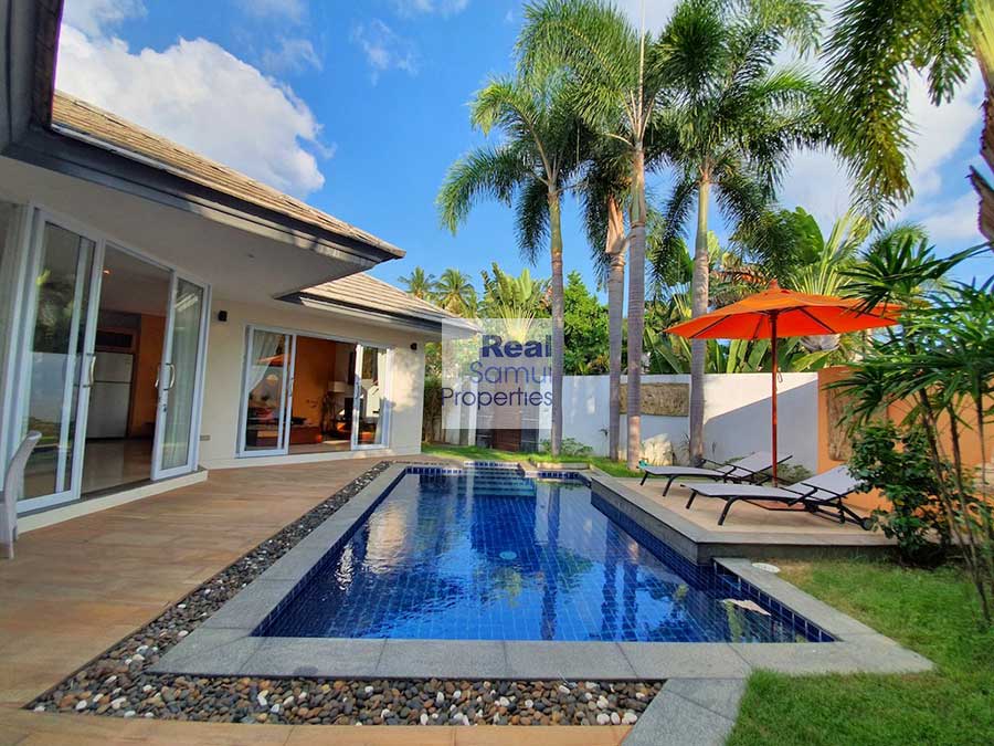 RealSamui tweet picture
