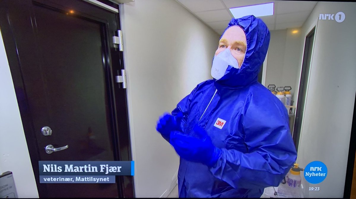 Kan en Fjær bli til fem høns? Han skal sjekke fjørfebransjen på Jæren vedr. fugleinfluensaen. #nrknyheter #dagsrevyen