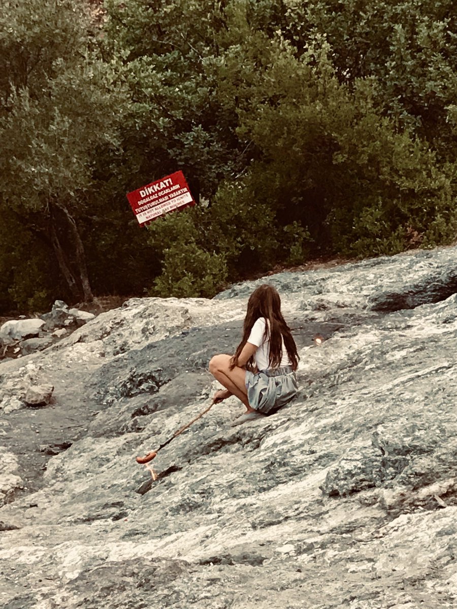 Yasmine Seale tweet media