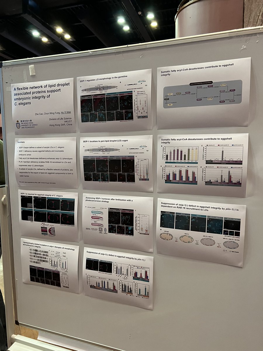 Mak_Lab_'s tweet photo. Presenting the work of @ZheCAObio on #seipin at the EMBO ER meeting. Showing my age for making a ‘poster’ this way. 😅 Zhe would have done a much better job. https://t.co/DKvyKQ18Fe