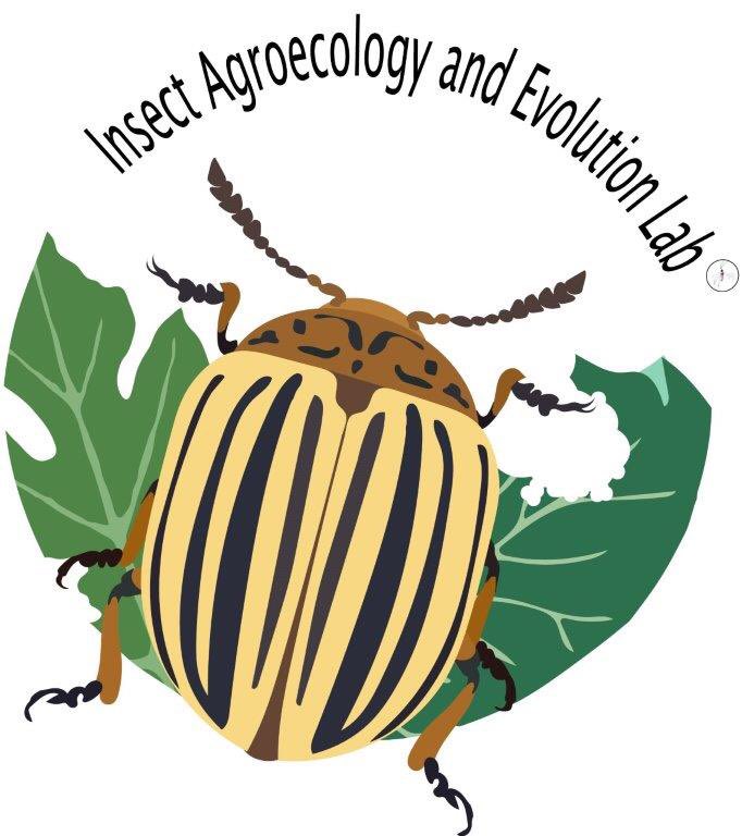 Please RT! Recruiting for a Phd student for Fall 2023 to study #epigenetics, #evolution, and #insecticide #resistance in #insect #pests. More information can be found here: tinyurl.com/c6vhjwfz.