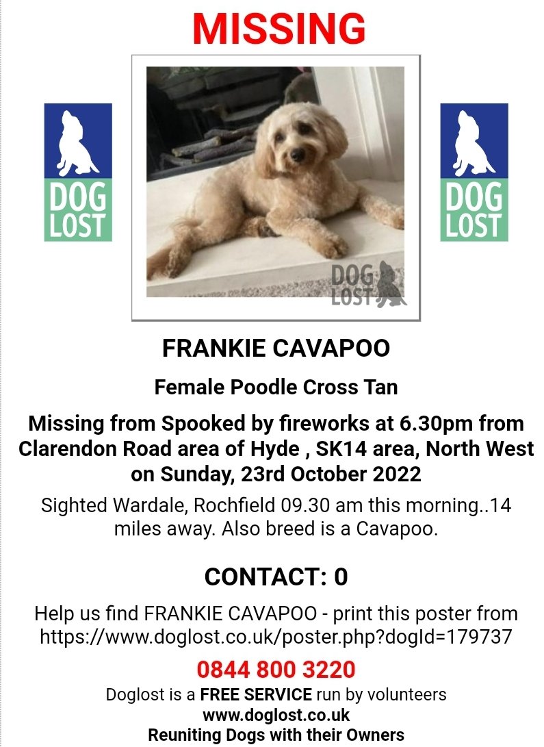 MissingPetsGB's tweet image. 🧨🐕 PLEASE SHARE!

FRANKIE has been spooked by #fireworks &amp;amp; got off her lead &amp;amp; collar 6.30pm from Clarendon Road area of #Hyde #SK14 on 23 Oct 2022
Sighted Wardale, Rochfield 09.30 am this morning, 24 Oct, 14 miles away. doglost.co.uk/dog-blog.php?d…