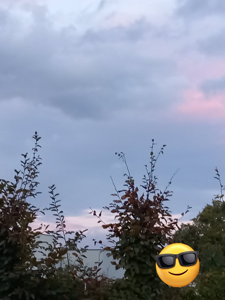 MaryMarieAH's tweet photo. Walk with my little Dog 🐶🐾
#PetitsBonheursDuQuotidien #LifeIsBlessing #MurphysLife #dogsoftwitter #Lifeisagift #dogsarefamily #ThankGod #MurphysLife🐶🐾 #dogsarelove #Sky #BlessYou #Goodevening #NiceDay #Melodie68🌹#Lifestyle https://t.co/gnWWAMvpzd
