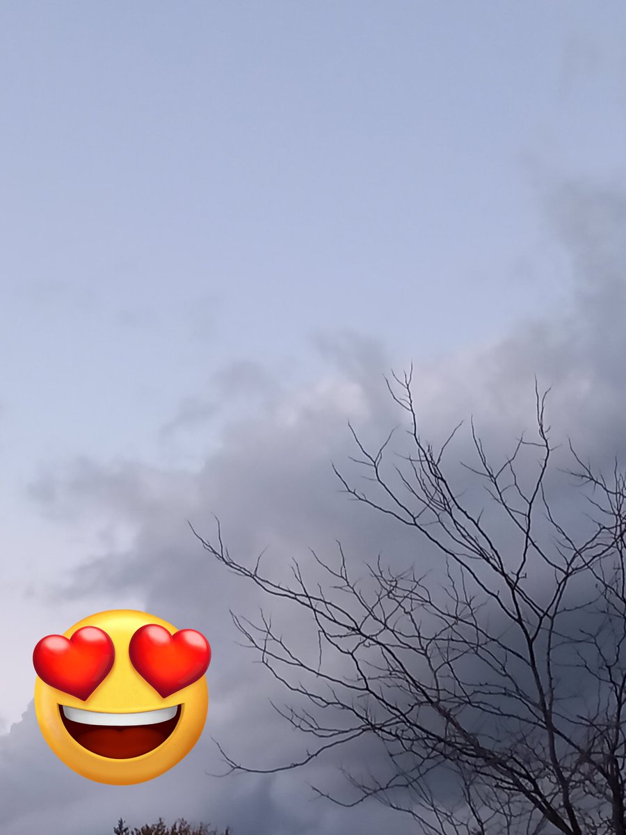MaryMarieAH's tweet photo. Walk with my little Dog 🐶🐾
#PetitsBonheursDuQuotidien #LifeIsBlessing #MurphysLife #dogsoftwitter #Lifeisagift #dogsarefamily #ThankGod #MurphysLife🐶🐾 #dogsarelove #Sky #BlessYou #Goodevening #NiceDay #Melodie68🌹#Lifestyle https://t.co/gnWWAMvpzd