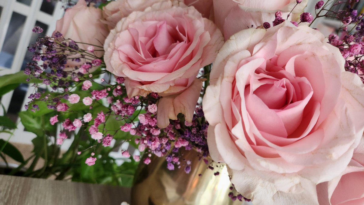 JadeAndwele's tweet photo. It's been months, but I am returning to my weekly practice of sharing my desk flowers π₯°
Here's this week's #deskflowers π #Jsdeskflowers https://t.co/mufFMCAkds