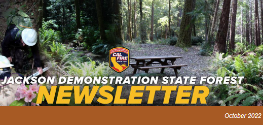CALFIRE_MEU's tweet photo. The October 2022 Jackson Demonstration State Forest electronic newsletter delivers a snapshot of the work that is being done on the #CALFIREJDSF . SIGN UP for this monthly email newsletters at: https://t.co/sNQUjEHNH2 #CALFIREMEU #workingforest #forestproud #forestresearch https://t.co/MStGq8gAuJ