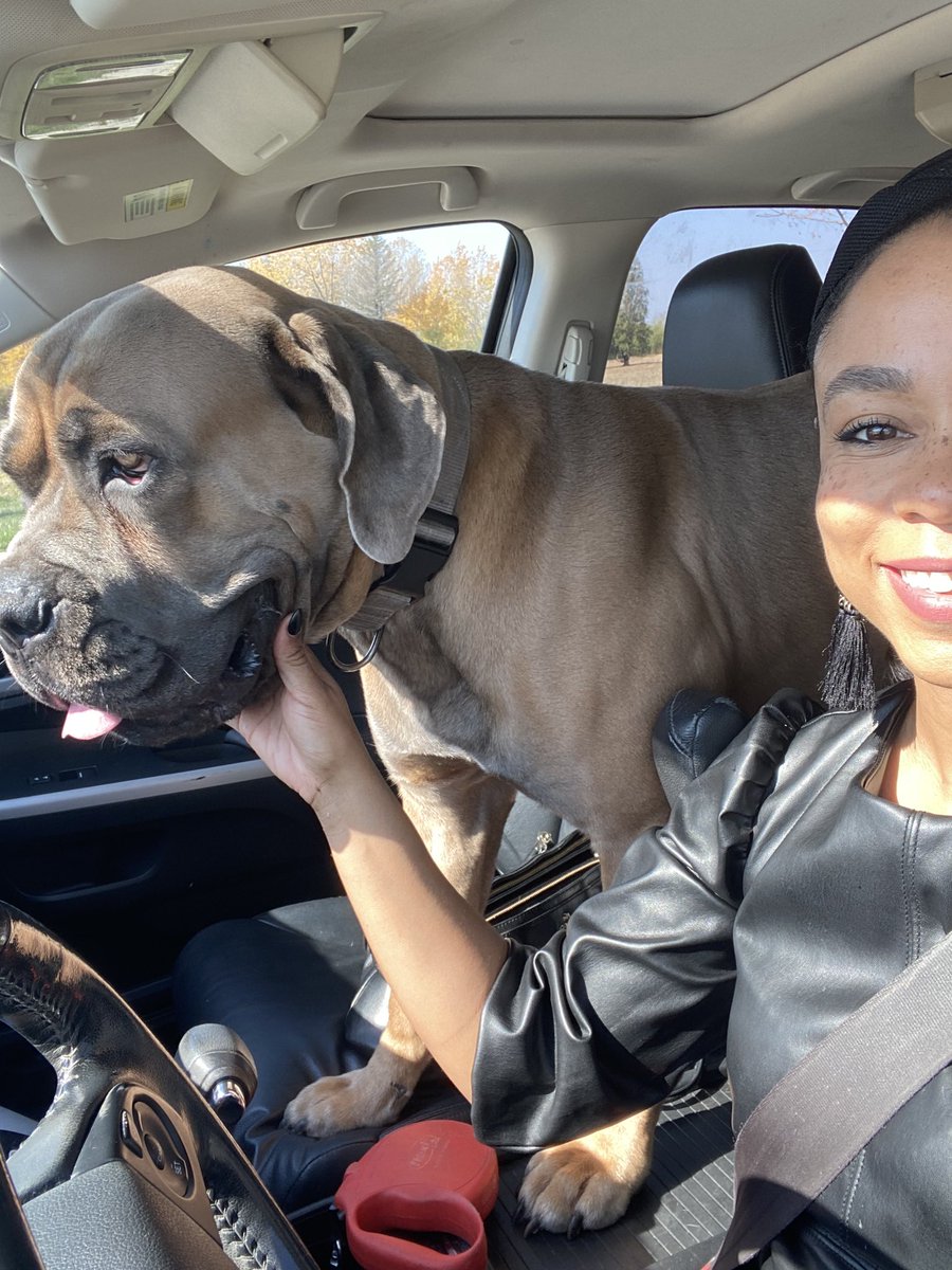 ChloeDeBre's tweet photo. YUP—My puppy loves ME the most! 😁 #canecorso #dogmom https://t.co/fomP6fq6Uw