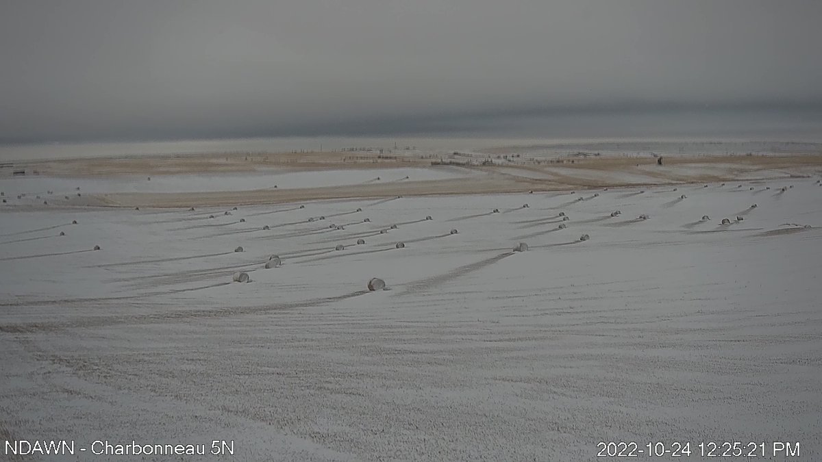 Wind, snow and hay-bales making for a great effect.  #ndwx