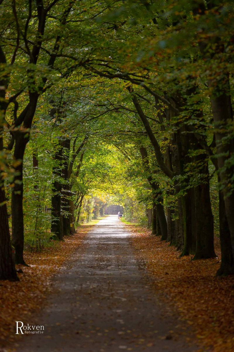 Rob Rokven tweet media