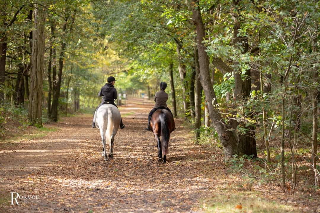 Rob Rokven tweet media