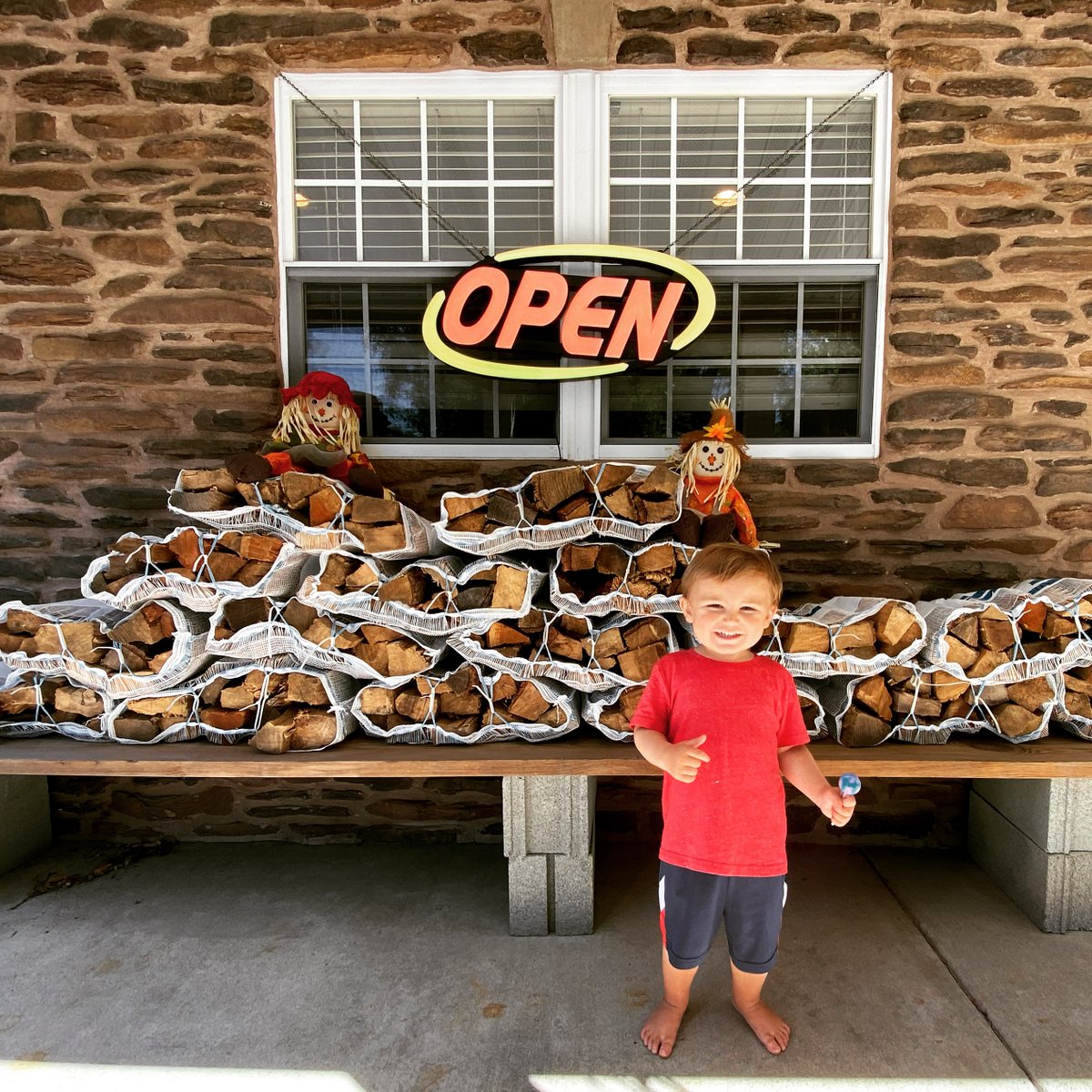 RicksExpertTree's tweet photo. This little dude's excited @Phillies are going to the World Series &amp; Halloween is only 7 sleeps away! Stop by the yard to pick up firewood. Bundles for $8 or 2 for $15, full Cart loads for $60 or half cart for $30. Call 215-785-2168 for more info https://t.co/2j677fdnBE https://t.co/DRmmEygLbW