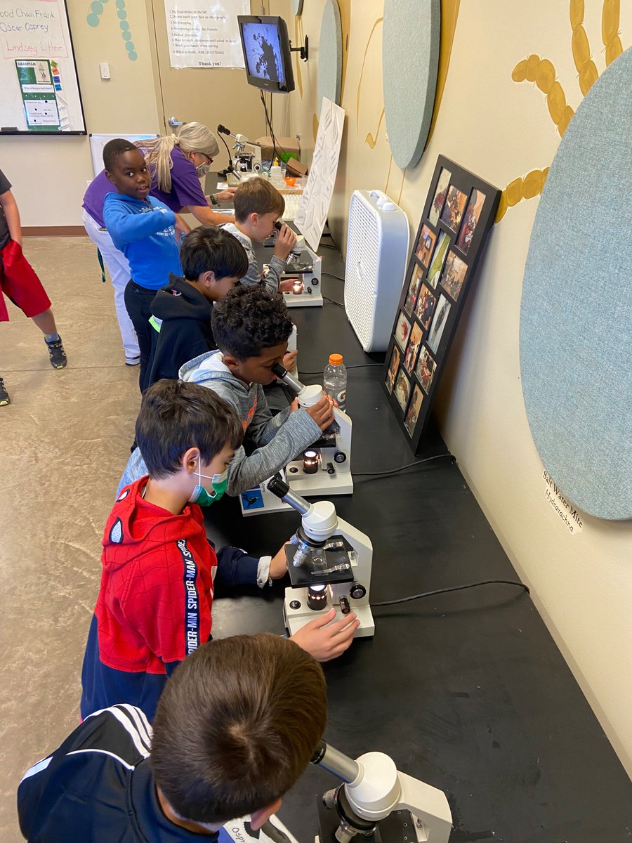 ColumbiaAcadMD's tweet photo. Our 3rd &amp; 4th graders visited #MasonvilleCove. Using observation &amp; critical thinking skills, they learned about water quality &amp; how humans impact the health of the #ChesapeakeBay &amp; plants &amp; animals that inhabit it. 
#wildliferefuge #environment #fieldtrip #k12 #prek #education https://t.co/Hdr2HmtwC3