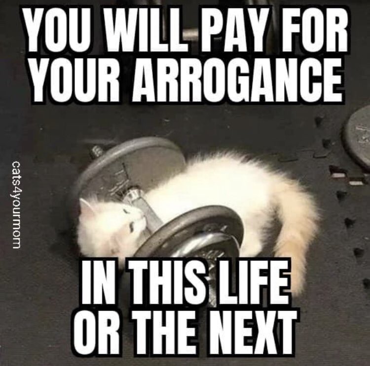 Those bastards are murdering the McRib!!!! Not on my watch…