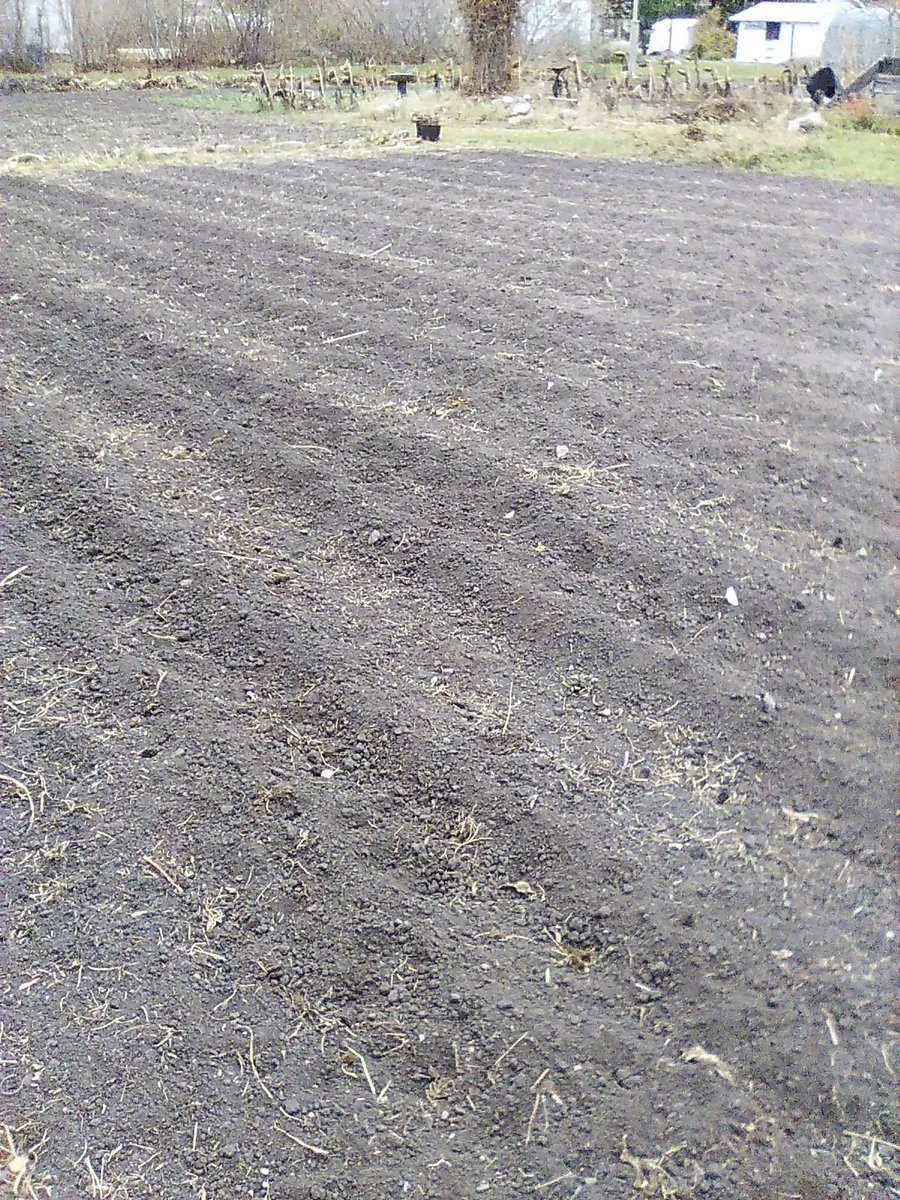 Wally Satzewich tweet media