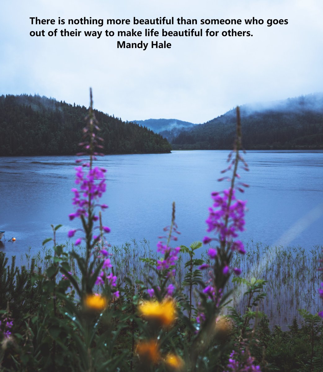 Calmingcompass's tweet photo. Quote of the day - “There is nothing more beautiful than someone who goes out of their way to make life beautiful for others.” – Mandy Hale
https://t.co/qn5RHmqG2v https://t.co/s3Njm7ecUV